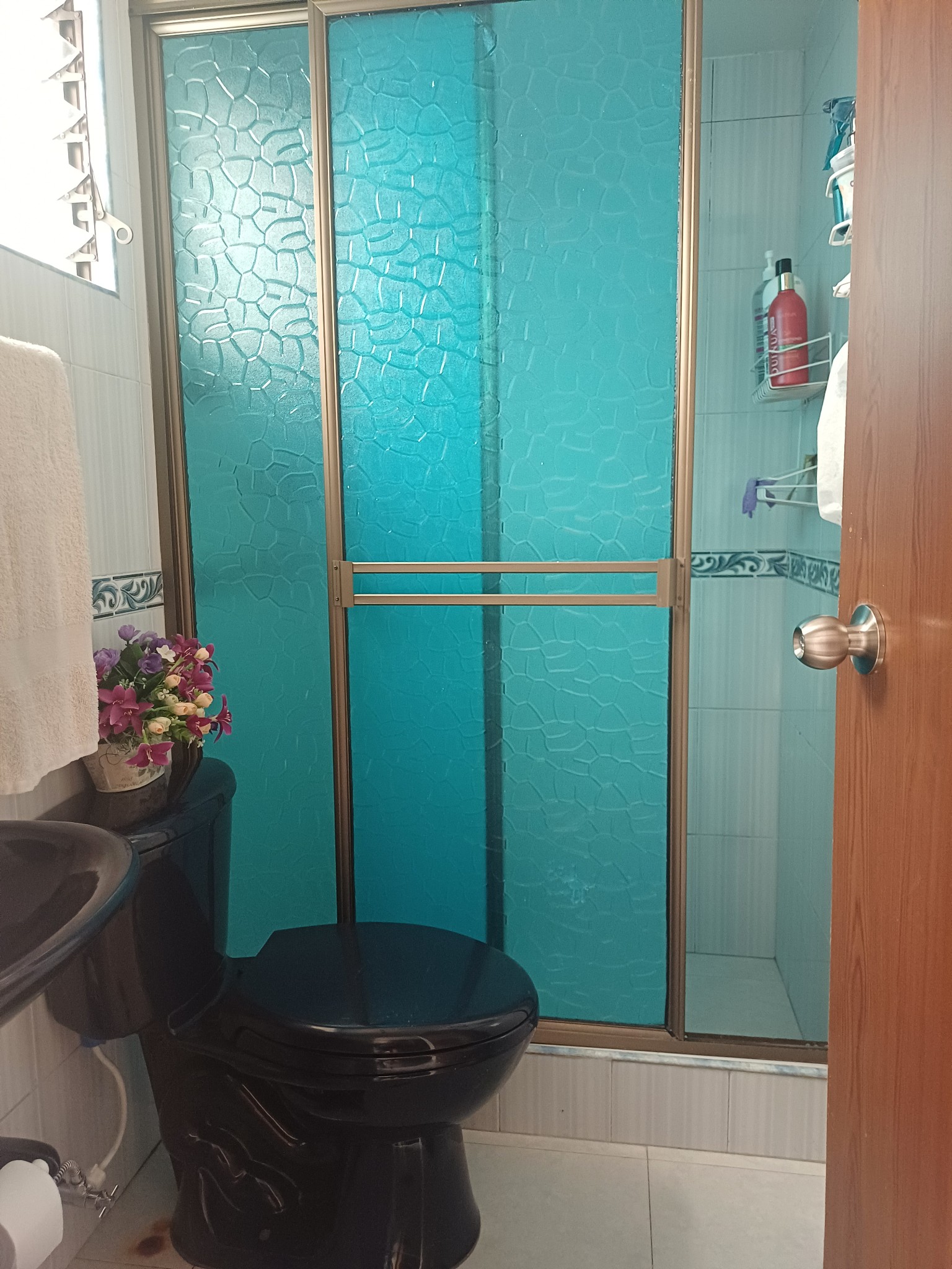 Casa en venta en San Fernando, Bogotá · foto 15 de 24