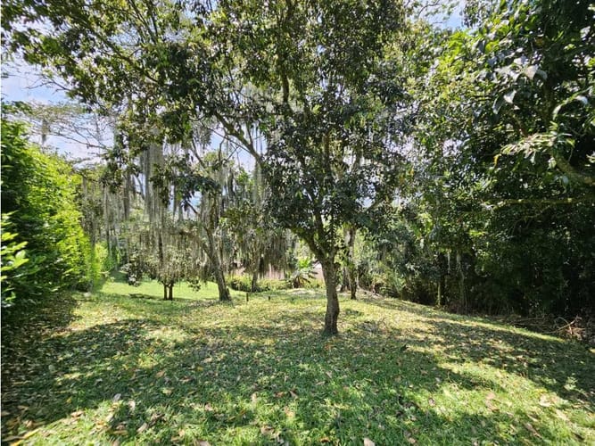 Lote en venta en Ub. Reserva De San Juan, Copacabana, 2000 m² · foto 4 de 7