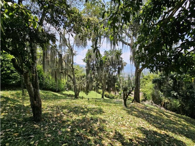 Lote en venta en Ub. Reserva De San Juan, Copacabana, 2000 m² · foto 6 de 7