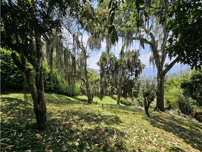 Lote en venta en Ub. Reserva De San Juan, Copacabana, 2000 m² · foto 7 de 7