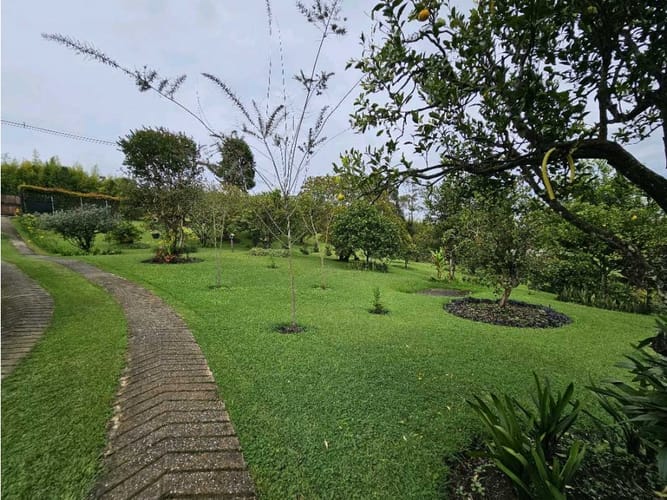 Finca en venta en Toldas, Rionegro, 270 m² · foto 5 de 24
