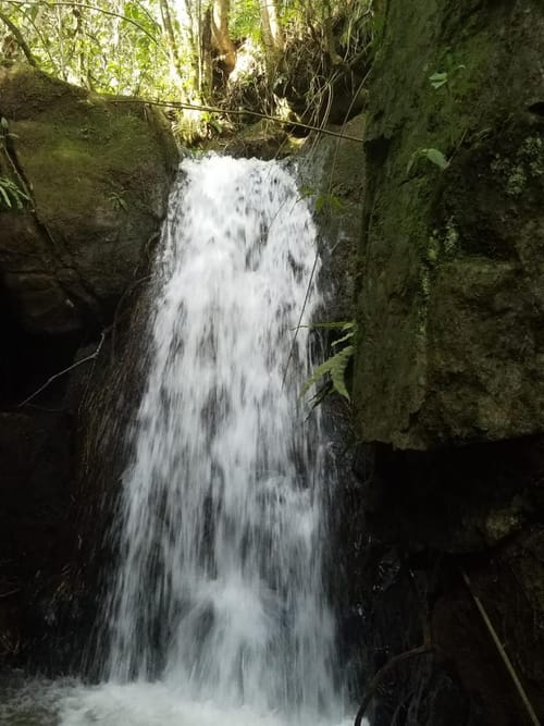 Lote en venta en La Clara, Guarne, 1700 m² · foto 6 de 8