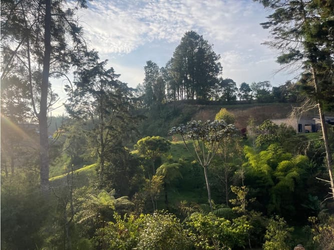 Finca en venta en La Clara, Guarne, 360 m² · foto 7 de 12