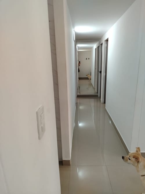 Apartamento de 3 alcobas en venta en Villa De Guadalupe, Cali, 69 m² · foto 4 de 16