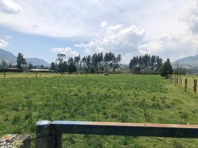 Lote en venta en San Cayetano, La Calera · foto 5 de 6