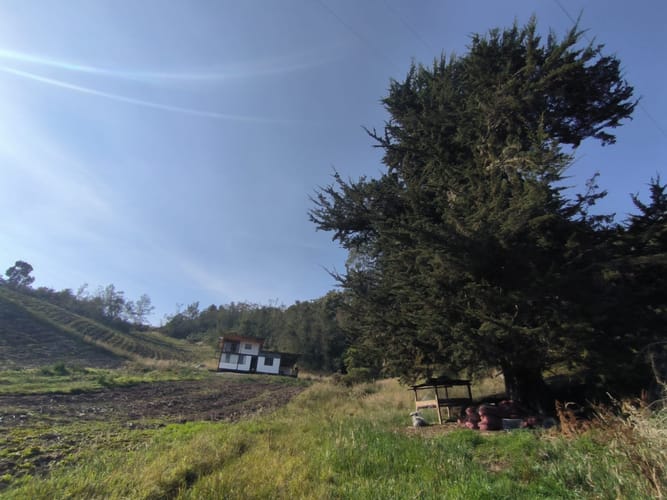 Casa de 3 alcobas en venta en Pueblo Viejo, Cota, 226 m² · foto 2 de 24