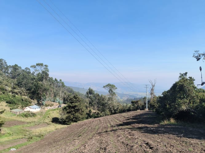 Casa de 3 alcobas en venta en Pueblo Viejo, Cota, 226 m² · foto 12 de 24