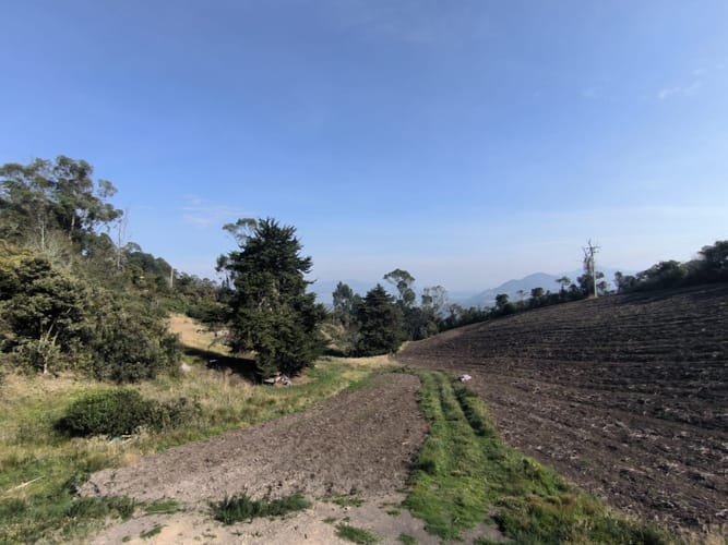 Casa de 3 alcobas en venta en Pueblo Viejo, Cota, 226 m² · foto 13 de 24