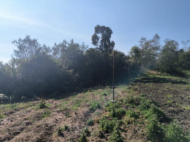Casa de 3 alcobas en venta en Pueblo Viejo, Cota, 226 m² · foto 14 de 24