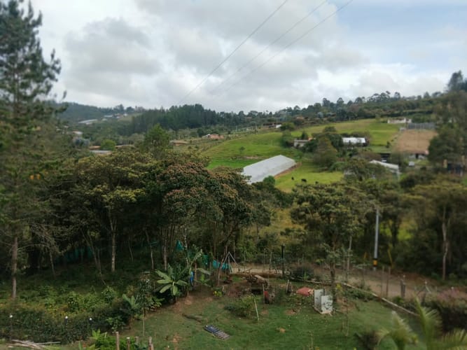 Casa de 2 alcobas en arriendo en La Charanga, Guarne, 210 m² · foto 7 de 13