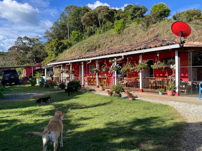 Finca en arriendo en La Charanga, Guarne, 110 m² · foto 13 de 23