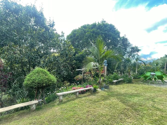 Finca en arriendo en La Charanga, Guarne, 110 m² · foto 15 de 23