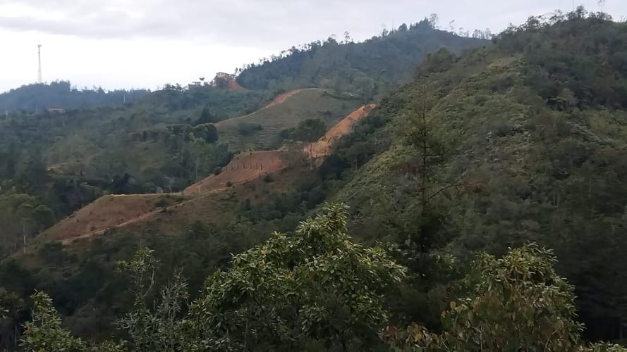 Finca en arriendo en La Charanga, Guarne, 110 m² · foto 17 de 23