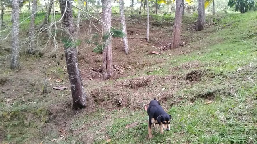 Finca en arriendo en La Charanga, Guarne, 110 m² · foto 21 de 23