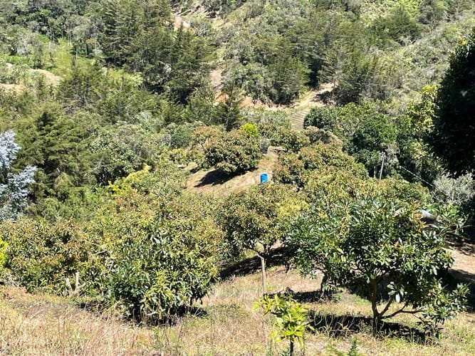Finca en venta en La Charanga, Guarne, 110 m² · foto 10 de 23