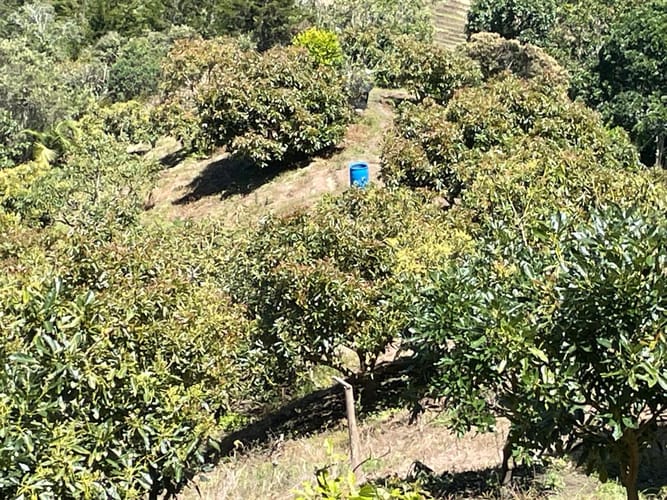 Finca en venta en La Charanga, Guarne, 110 m² · foto 11 de 23