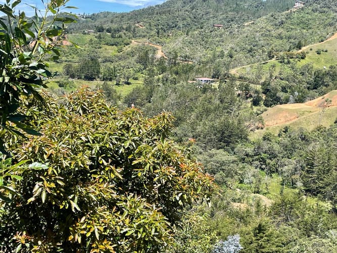 Finca en venta en La Charanga, Guarne, 110 m² · foto 12 de 23