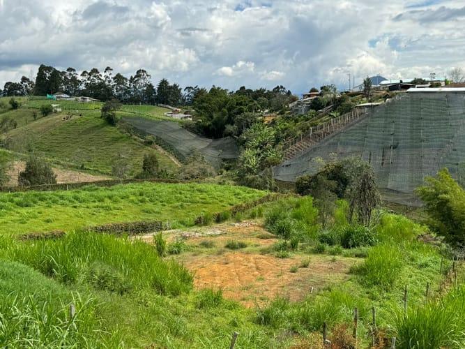 Lote en venta en Cristo Rey, El Carmen de Viboral, 4000 m² · foto 3 de 11