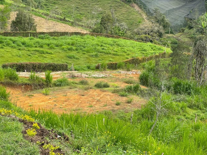 Lote en venta en Cristo Rey, El Carmen de Viboral, 4000 m² · foto 6 de 11