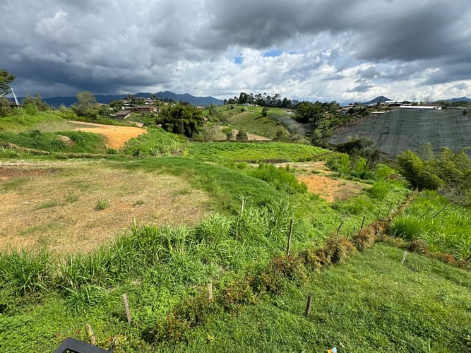 Lote en venta en Cristo Rey, El Carmen de Viboral, 4000 m² · foto 11 de 11
