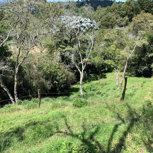 Lote en venta en Sajonia, Rionegro, 6400 m² · foto 5 de 10