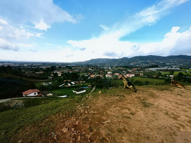 Lote en venta en Campo Alegre, Marinilla, 1250 m² · foto 3 de 6