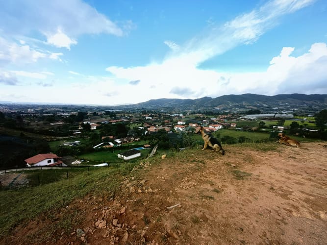 Lote en venta en Campo Alegre, Marinilla, 1250 m² · foto 4 de 6