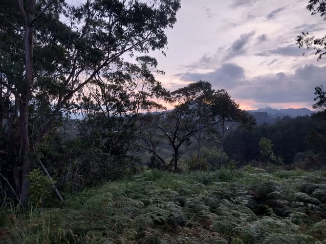 Lote en venta en El Salado, El Carmen de Viboral, 2864 m² · foto 3 de 8