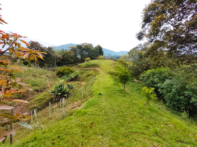 Finca en venta en Campo Alegre, El Carmen de Viboral, 3494 m² · foto 4 de 20
