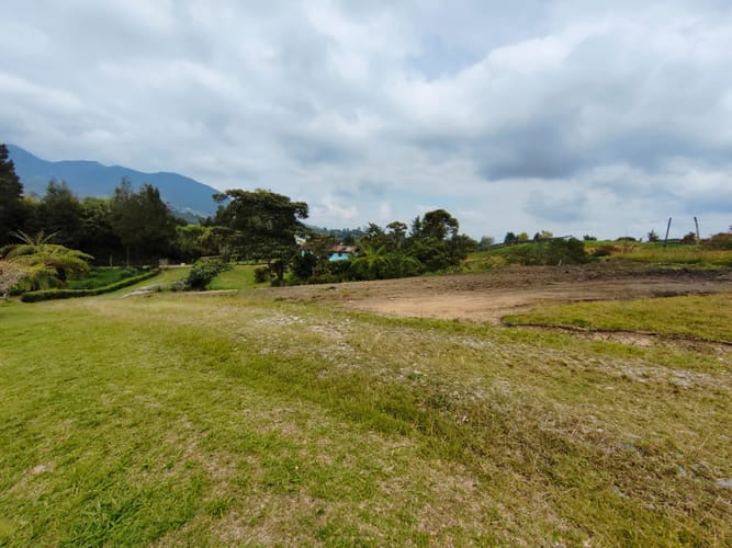Finca en venta en Campo Alegre, El Carmen de Viboral, 3494 m² · foto 8 de 20