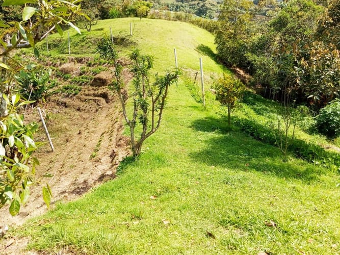 Finca en venta en Campo Alegre, El Carmen de Viboral, 3494 m² · foto 12 de 20