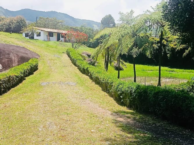 Finca en venta en Campo Alegre, El Carmen de Viboral, 3494 m² · foto 13 de 20