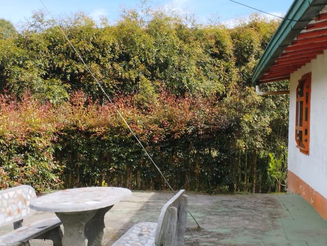 Finca en venta en Campo Alegre, El Carmen de Viboral, 3494 m² · foto 17 de 20