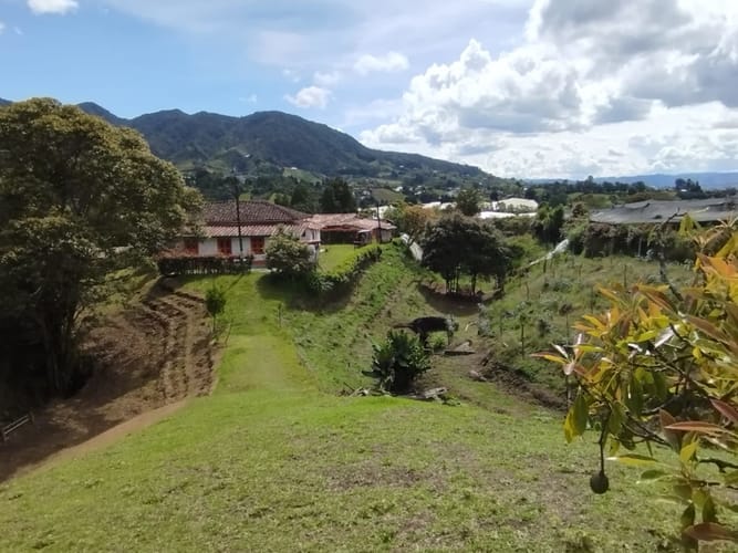 Finca en venta en Campo Alegre, El Carmen de Viboral, 3494 m² · foto 18 de 20