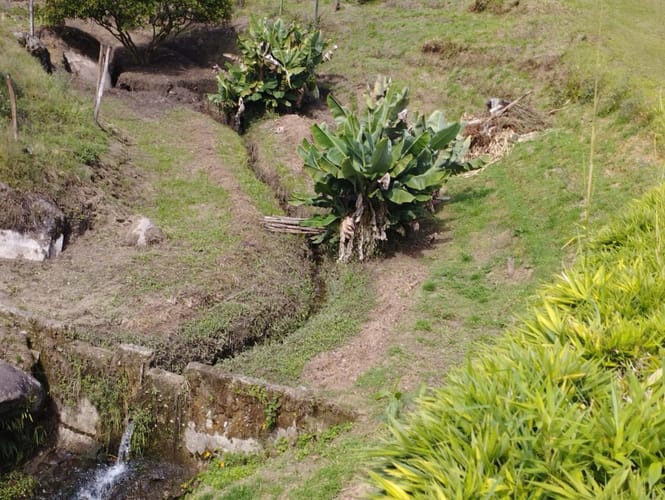 Finca en venta en Campo Alegre, El Carmen de Viboral, 3494 m² · foto 19 de 20