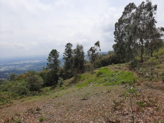 Lote en venta en La Quiebra, Rionegro, 5058 m² · foto 2 de 14