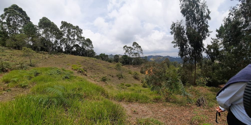 Lote en venta en La Quiebra, Rionegro, 5058 m² · foto 3 de 14