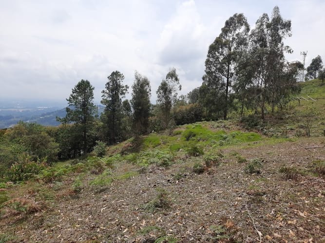 Lote en venta en La Quiebra, Rionegro, 5058 m² · foto 4 de 14