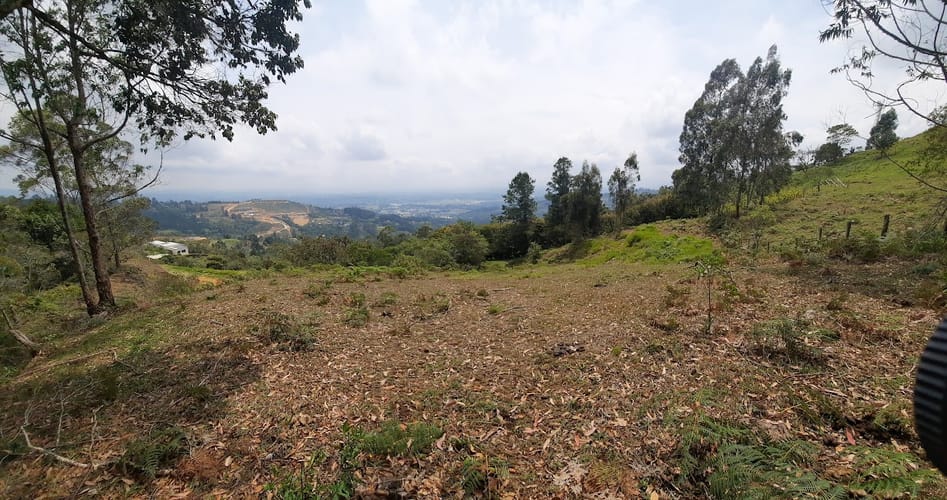Lote en venta en La Quiebra, Rionegro, 5058 m² · foto 5 de 14