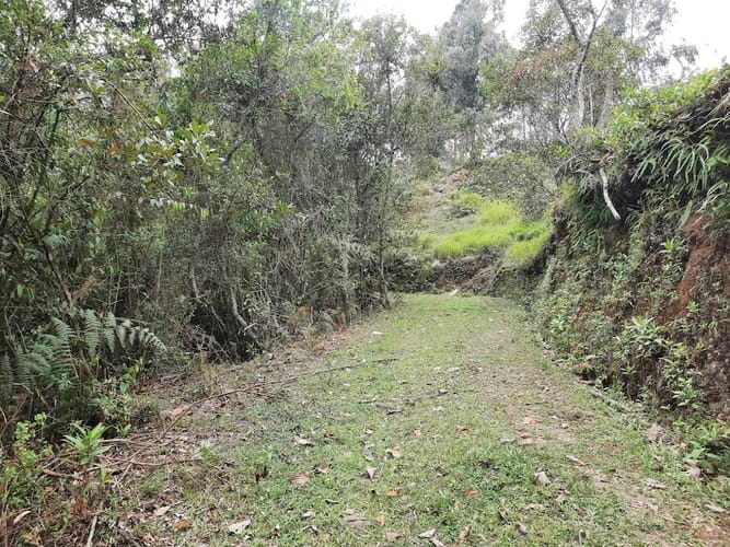 Lote en venta en La Quiebra, Rionegro, 5058 m² · foto 7 de 14