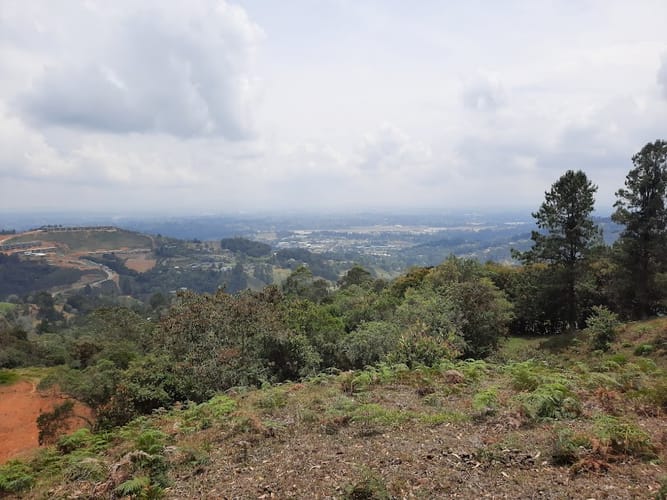 Lote en venta en La Quiebra, Rionegro, 5058 m² · foto 13 de 14
