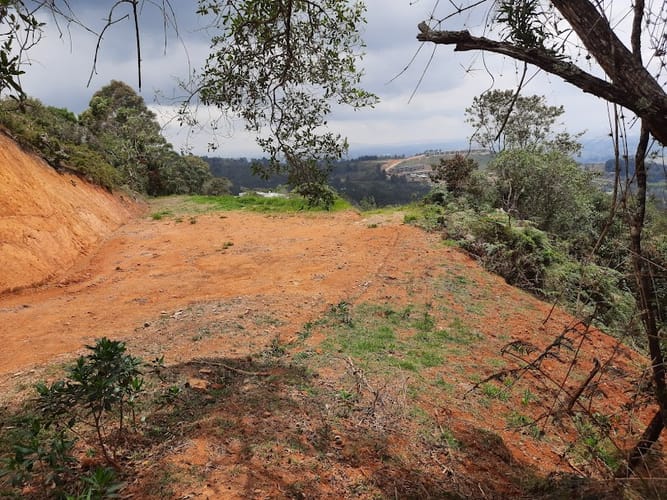 Lote en venta en La Quiebra, Rionegro, 5058 m² · foto 14 de 14