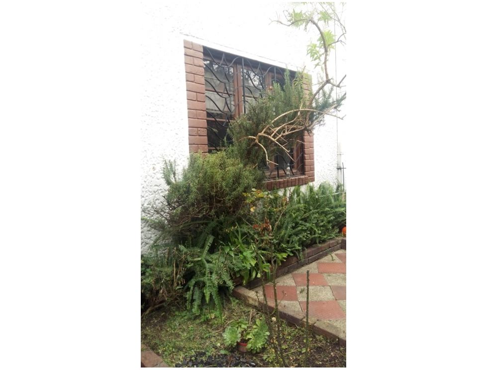 Casa en venta en Teusaquillo, Bogotá · foto 11 de 21