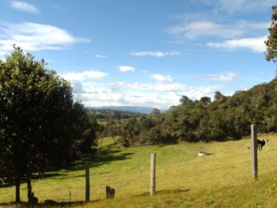 Casa de 4 alcobas en venta en Yerbabuena, Sopó, 413 m² · foto 6 de 17