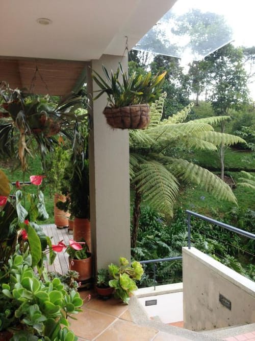 Casa de 5 alcobas en venta en Loma Del Escobero, El Retiro, 377 m² · foto 17 de 24