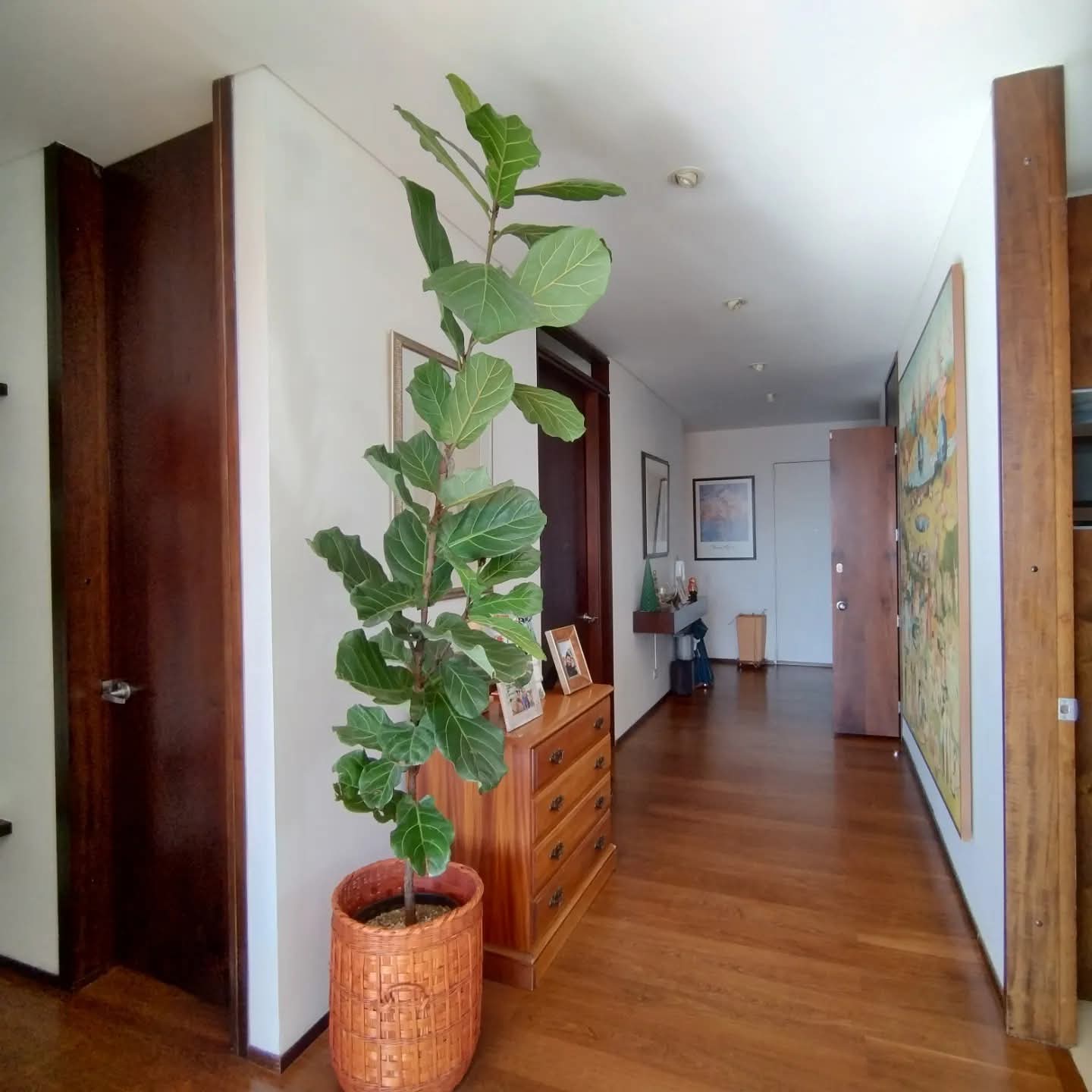 Apartamento en venta en Chapinero, Bogotá · foto 6 de 19