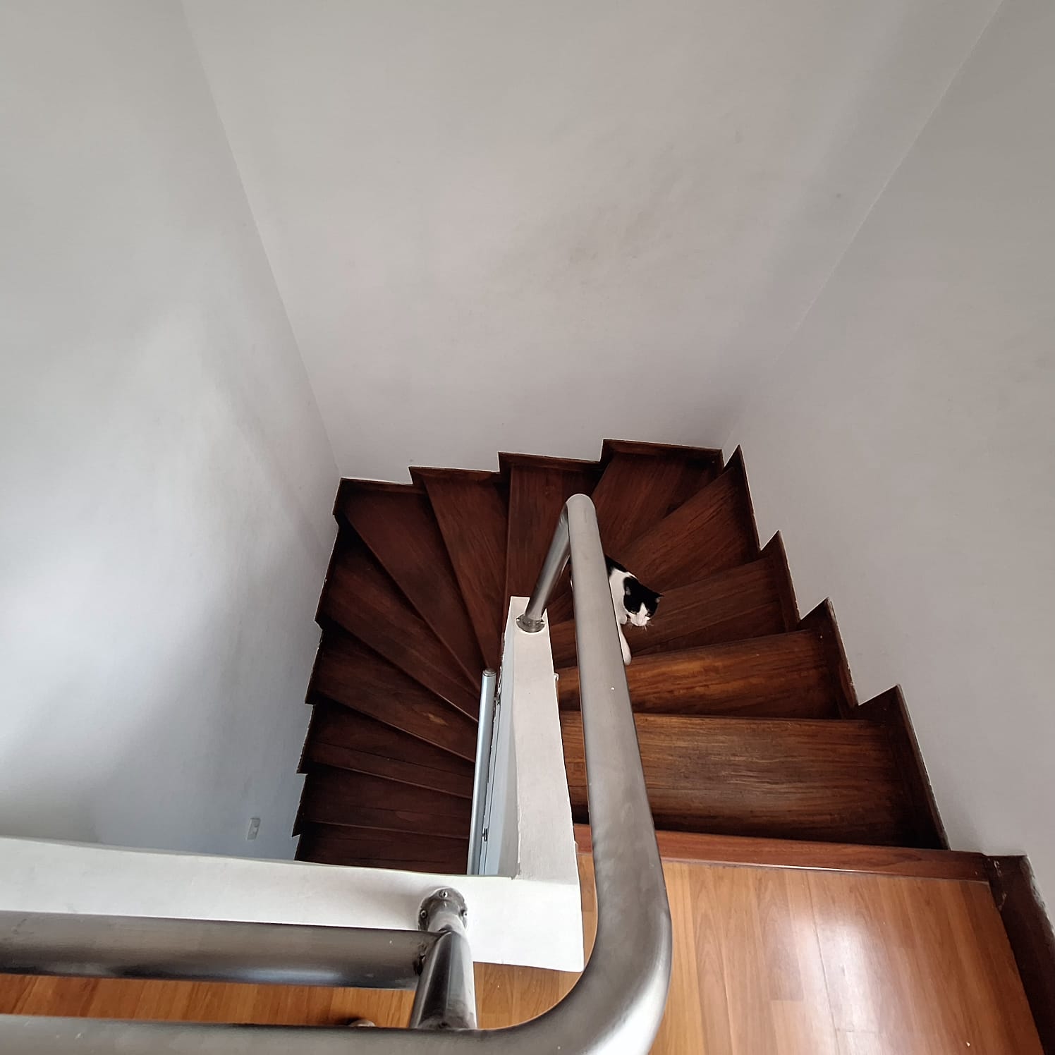 Casa en venta en Villa Magdala, Bogotá · foto 17 de 24