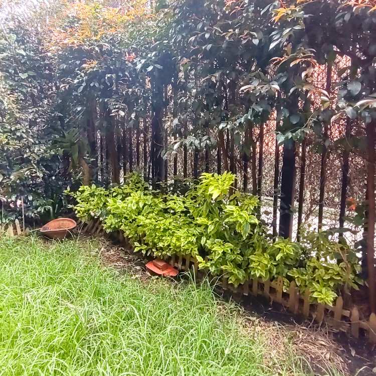 Casa en venta en El Contador, Bogotá · foto 13 de 22