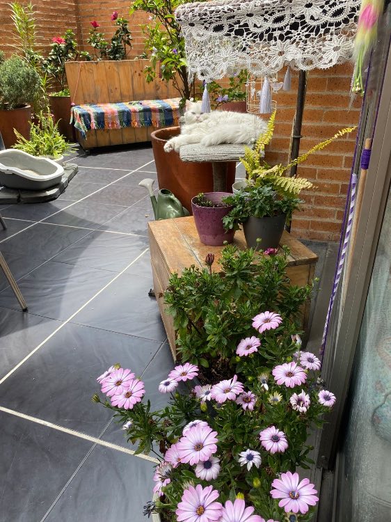 Apartamento en venta en Chicó Navarra, Bogotá · foto 9 de 12