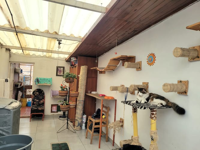 Casa de 4 alcobas en venta en San Mateo, Soacha, 83 m² · foto 18 de 19